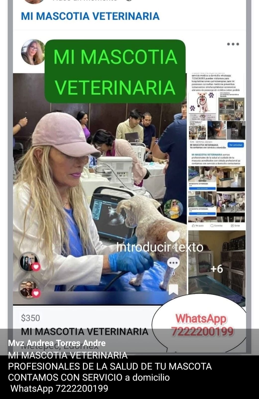 Imagen de publicaciones veterinaria