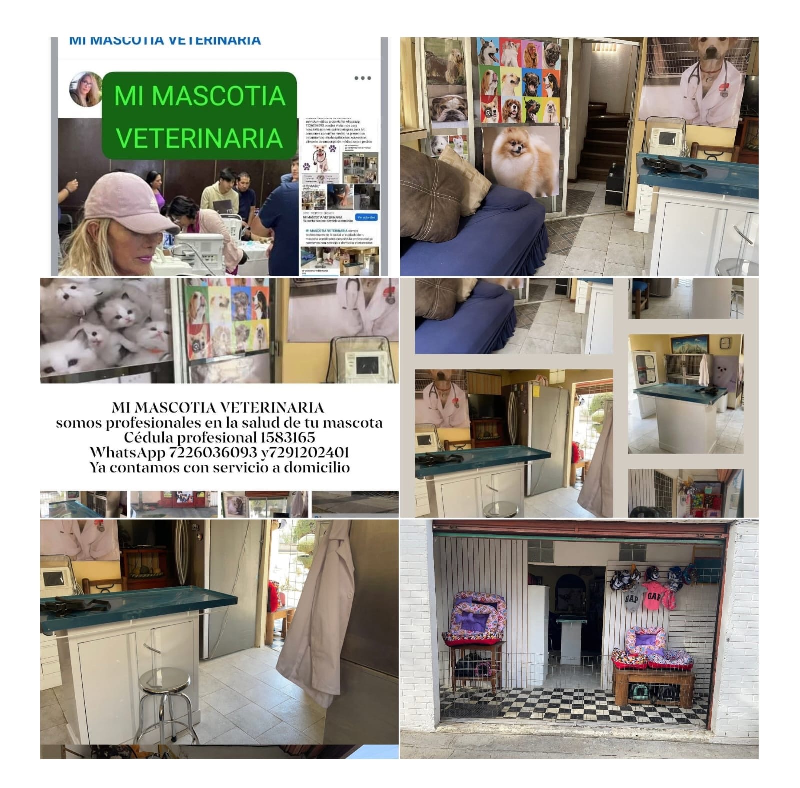 Collage de MI MASCOTIA VETERINARIA