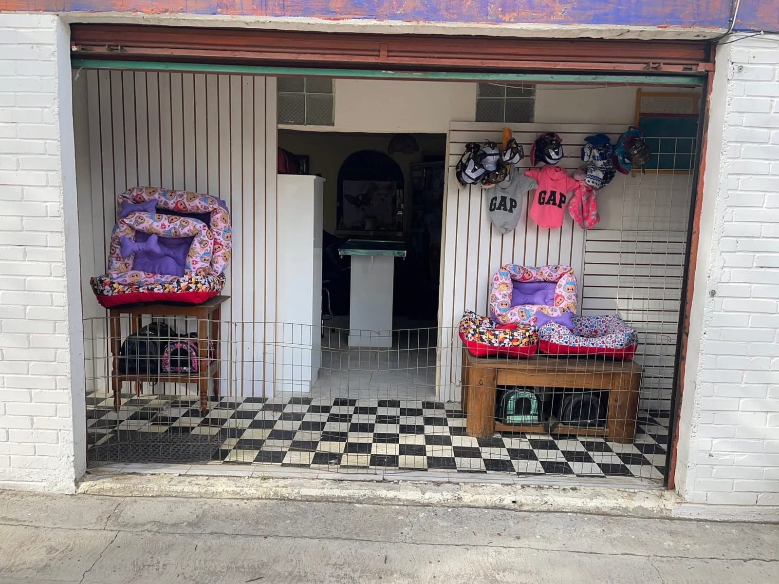 Interior veterinaria